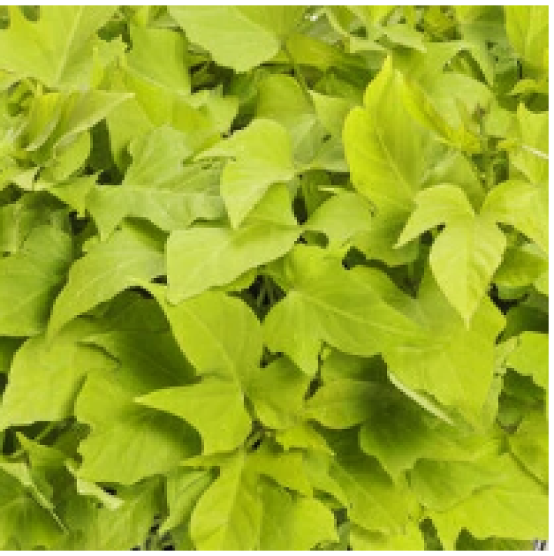 Снимок экрана 2025-10-22 163659